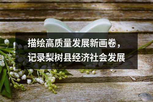 描绘高质量发展新画卷,记录梨树县经济社会发展