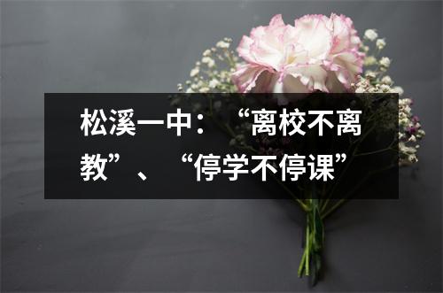 松溪一中:“离校不离教”、“停学不停课”