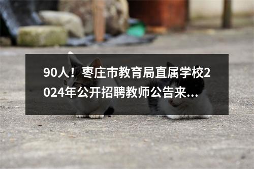 90人！枣庄市教育局直属学校2024年公开招聘教师公告来了