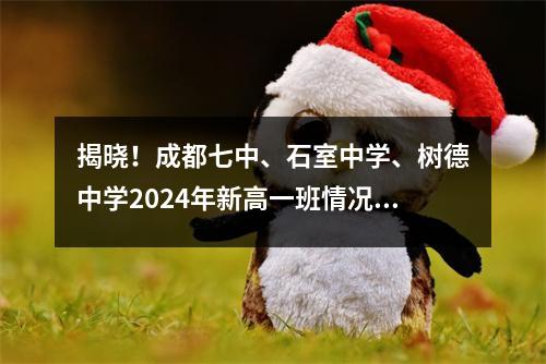 揭晓!成都七中、石室中学、树德中学2024年新高一班情况曝光!