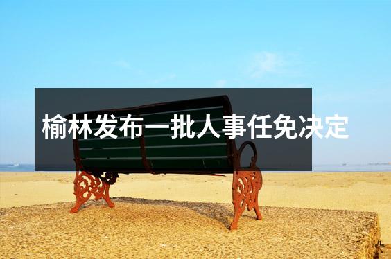 榆林发布一批人事任免决定