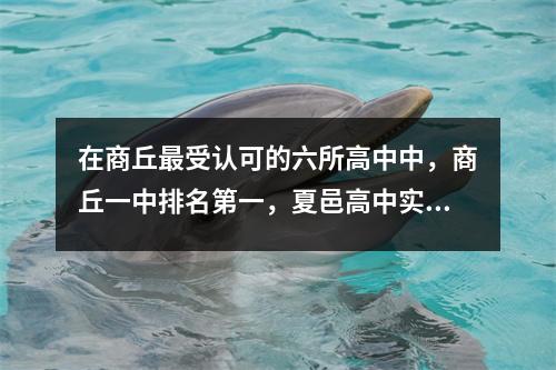 在商丘最受认可的六所高中中，商丘一中排名第一，夏邑高中实力非凡。