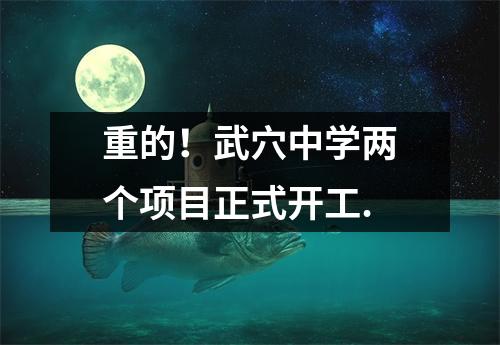 重的!武穴中学两个项目正式开工.