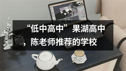 “低中高中”果湖高中，陈老师推荐的学校