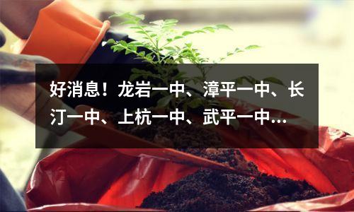 好消息!龙岩一中、漳平一中、长汀一中、上杭一中、武平一中、永定一中、连城一中。