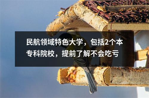 民航领域特色大学,包括2个本专科院校,提前了解不会吃亏