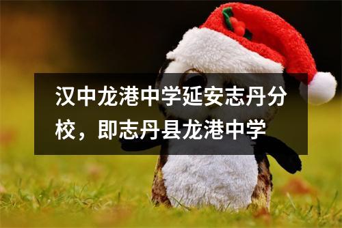 汉中龙港中学延安志丹分校,即志丹县龙港中学