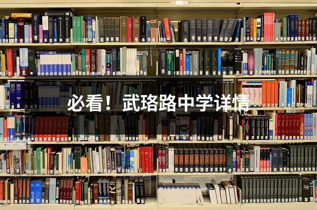必看!武珞路中学详情