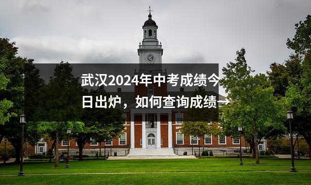 武汉2024年中考成绩今日出炉,如何查询成绩→