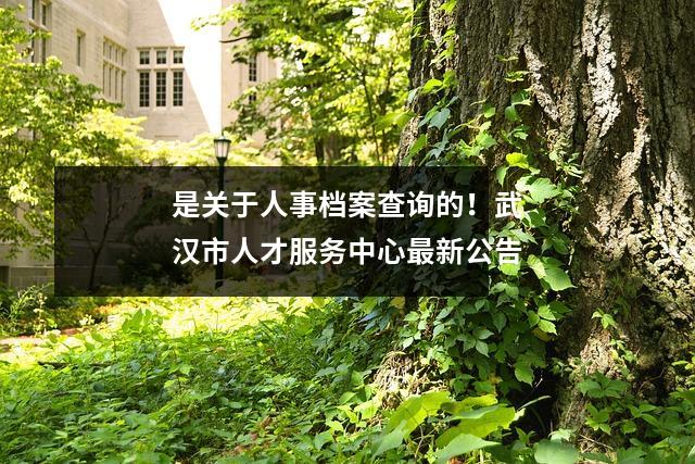 是关于人事档案查询的!武汉市人才服务中心最新公告