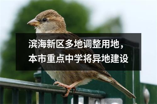 滨海新区多地调整用地,本市重点中学将异地建设
