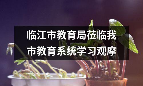 临江市教育局莅临我市教育系统学习观摩