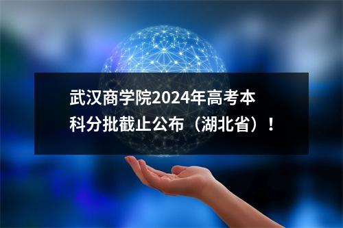 武汉商学院2024年高考本科分批截止公布(湖北省)!