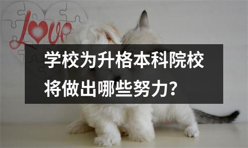 学校为升格本科院校将做出哪些努力?