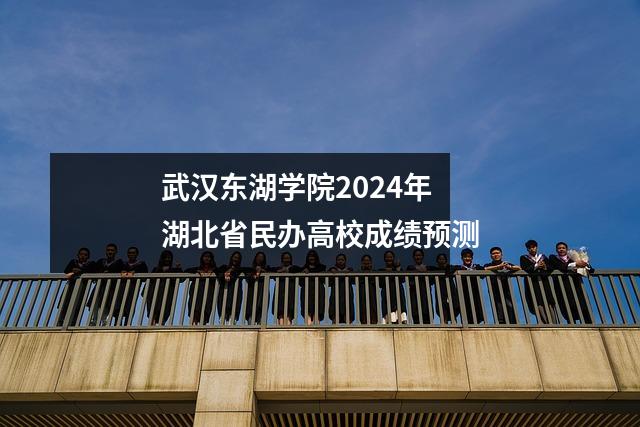 武汉东湖学院2024年湖北省民办高校成绩预测