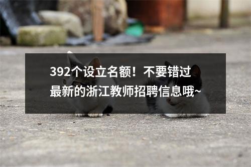 392个设立名额!不要错过最新的浙江教师招聘信息哦~