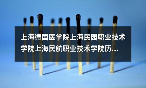 上海德国医学院上海民园职业技术学院上海民航职业技术学院历史沿革