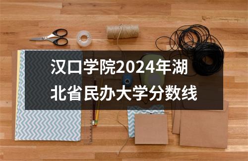 汉口学院2024年湖北省民办大学分数线
