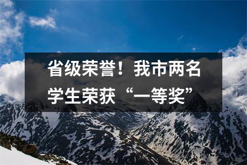 省级荣誉!我市两名学生荣获“一等奖”
