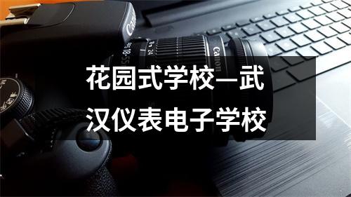 花园式学校—武汉仪表电子学校