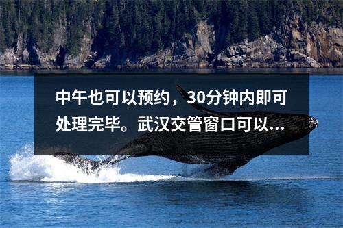 中午也可以预约，30分钟内即可处理完毕。武汉交管窗口可以这样预约