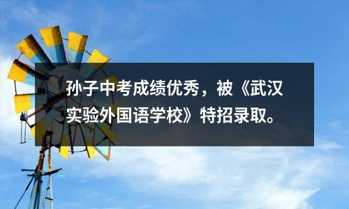 孙子中考成绩优秀,被《武汉实验外国语学校》特招录取。