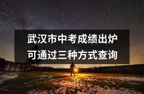 武汉市中考成绩出炉可通过三种方式查询