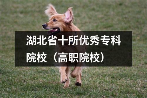 湖北省十所优秀专科院校(高职院校)