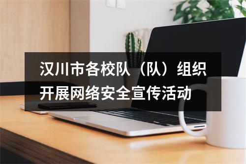 汉川市各校队(队)组织开展网络安全宣传活动