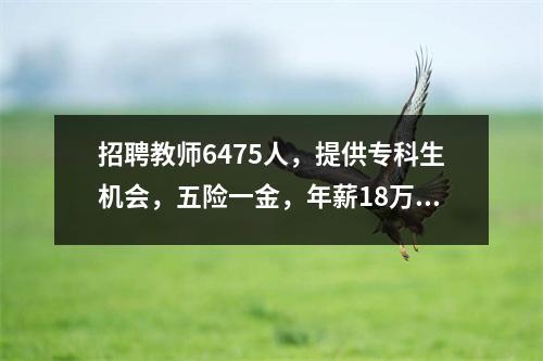 招聘教师6475人,提供专科生机会,五险一金,年薪18万……