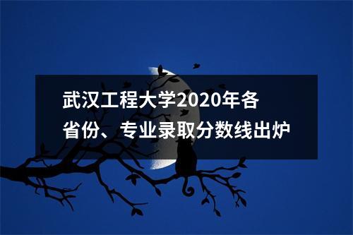 武汉工程大学2020年各省份、专业录取分数线出炉