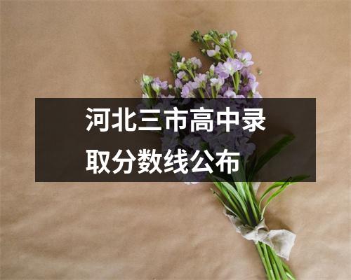 河北三市高中录取分数线公布