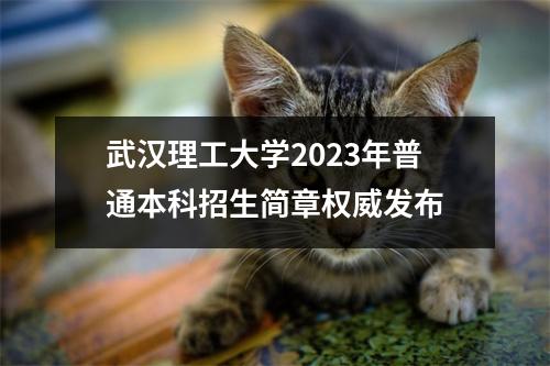 武汉理工大学2023年普通本科招生简章权威发布