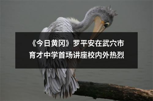 《今日黄冈》罗平安在武穴市育才中学首场讲座校内外热烈