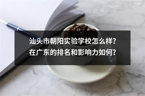 汕头市朝阳实验学校怎么样?在广东的排名和影响力如何?