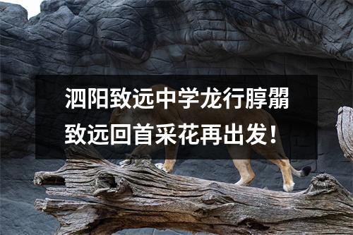 泗阳致远中学龙行朜朤致远回首采花再出发!