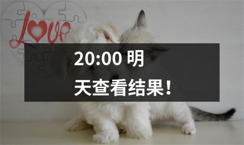 20:00 明天查看结果!