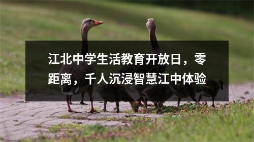 江北中学生活教育开放日,零距离,千人沉浸智慧江中体验
