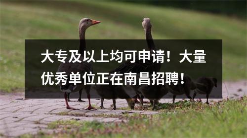 大专及以上均可申请!大量优秀单位正在南昌招聘!