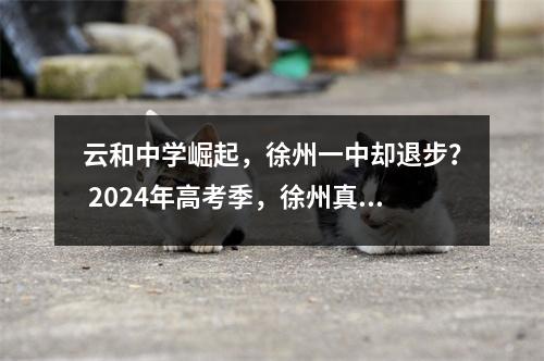 云和中学崛起,徐州一中却退步? 2024年高考季,徐州真的要发生翻天覆地的变化吗?