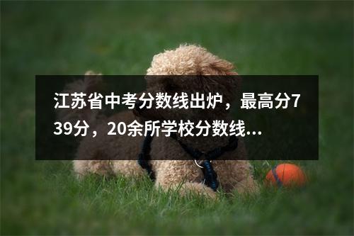 江苏省中考分数线出炉,最高分739分,20余所学校分数线超过600分