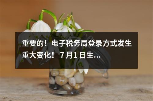 重要的!电子税务局登录方式发生重大变化! 7 月1 日生效