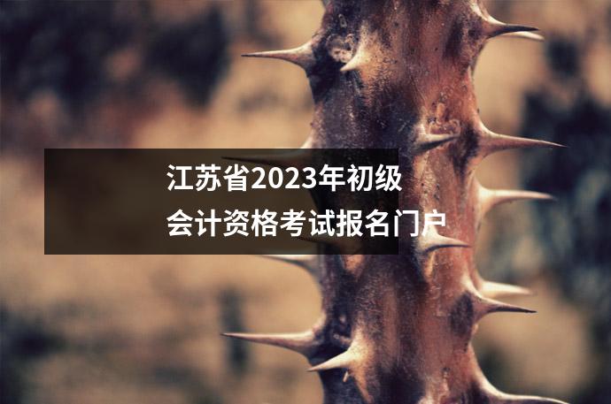 江苏省2023年初级会计资格考试报名门户
