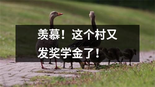 羡慕!这个村又发奖学金了!