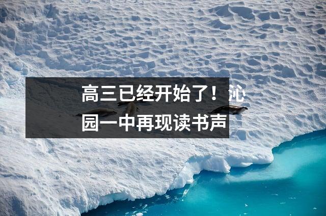 高三已经开始了!沁园一中再现读书声