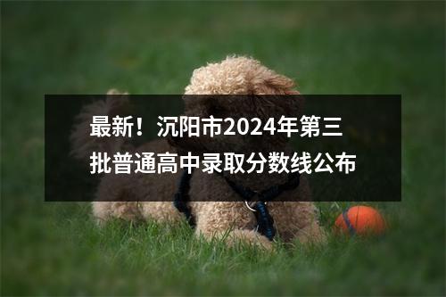 最新!沉阳市2024年第三批普通高中录取分数线公布
