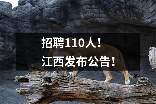 招聘110人!江西发布公告!