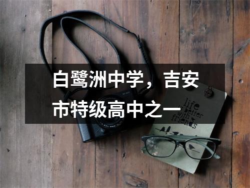 白鹭洲中学,吉安市特级高中之一