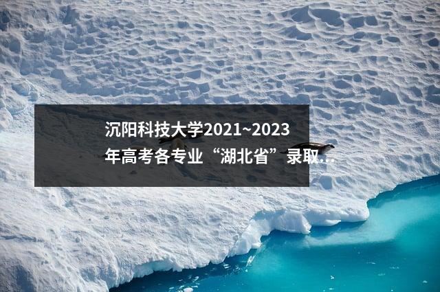 沉阳科技大学2021~2023年高考各专业“湖北省”录取分数线
