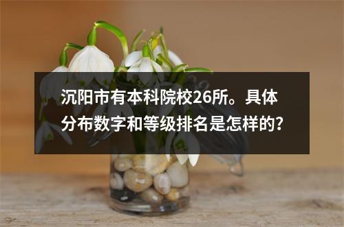 沉阳市有本科院校26所。具体分布数字和等级排名是怎样的?